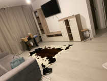 Apartament 2 camere langa Sun Plaza