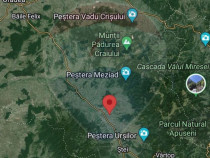 Teren 2,721 mp de vânzare în Livada Beiușului