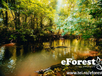 EForest, teren intravilan, Crevedia, 680 mp, d=17 ml