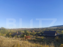 Teren intravilan 1700 mp, la asfalt, in Goruni-Tomesti