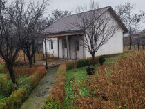 Casa de vanzare sat Lunca,comuna CA Rosetti,judetu Buzau.