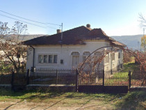 Casa la tara Davidesti, Arges