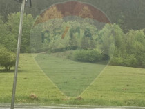 Teren de vanzare Sacele I Brasov - Oportunitate de invest...