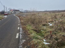 Seini, str. Tineretului, 60 ari teren