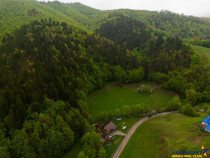 LIVE!Refugiu in inima naturii:Cabana sub aripa padurii si cu