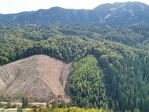 Teren intravilan zona Poiana Brasov