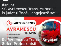 Angajăm șoferi profesioniști pentru comunitate