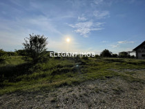 Teren langa Paradisul Verde - Corbeanca