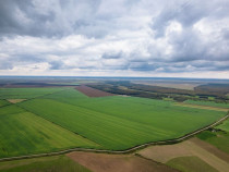 Teren arabil de 128 hectare în Cluj