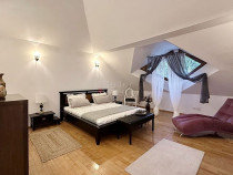 Zona Centrala Acces Facil