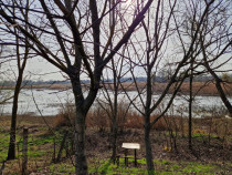 Teren - Roman -Trifesti - ieșire la lac - livada pe rod