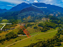 Teren Rasnov -Glajerie, Poiana Velicanului, 1447mp, la st...