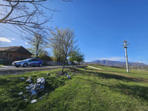 Teren 4606 mp - Runcu - la aproximativ 20 km de Târgu Jiu