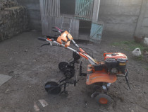 Semanatoare porumb motocultor