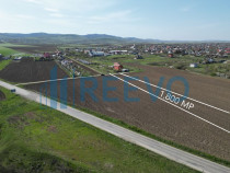 Teren de vânzare, Com. Nicolae Bălcescu, Jud. Bacău