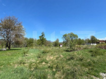 Teren de 30 ari de vânzare în Bistrița Bârgăului – zo