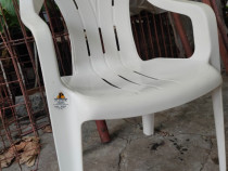 Mobilier gradina (mese, scaune)