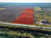 Teren 29220 mp Pecica,DN7, langa autostrada- Ideal pentru...