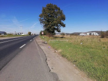 Teren intravilan 3000 mp constructii industriale