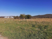 Teren intravilan 3000 mp constructii industriale