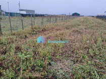 Teren intravilan 2700 mp Dumbraveni