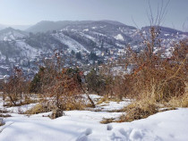 Teren Intravilan - Zona Drumul Poienii