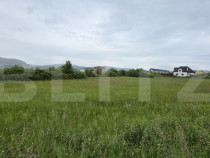 Teren intravilan, 48,3 ari zona Valea Rusului,