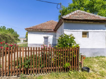 Proprietate versatilă cu casă, două hale și teren gen...