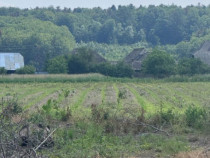 Teren generos, intravilan, 13.518 mp, Marginea