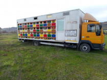 Camion apicol 12 T