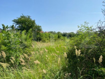 Teren Intravilan de vanzare, 1500 Mp, zona Rahova