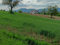 Satu Nou de Sus, 40 ari teren