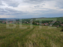 Teren extravilan 1249 mp in Copaceni! Oportunitate investiti
