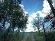 Reco Teren intravilan Lugasu de Sus