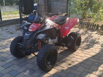 ATV Can-Am DS250
