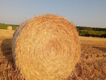 Baloți de Paie semi tocate.