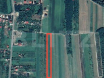 Teren de vânzare în Viile Satu Mare – Strada Oglinzilor,