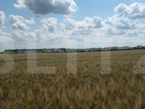 Teren Intravilan 2.829 mp, Zonă în Dezvoltare, Reprezentan