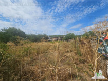 Teren 1385mp in zona Ghencea-Drumul Taberei