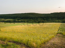 RECO Teren extravilan 11500 mp -Lazareni