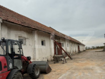 Ferma de Vanzare in judetul Timis, la nord est de Timisoara,