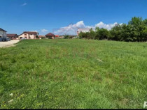 TEREN INTRAVILAN CARANSEBEȘ\JUD. CARAȘ-SEVERIN