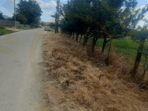 0% COMISION - TEREN GENEROS 5000 MP GOLESTI - ARGES