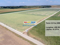 Teren agricol extravilan 2.6 ha - 26.000 mp - Valcelele, Buz