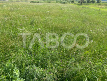 Teren intravilan 3450 mp Boita, 35 m deschidere, la 700 m de