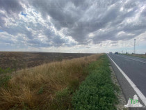 Teren extravilan in Mihail Kogalniceanu, Constanta