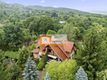 Pet Friendly, Vedere Padure, 5000mp teren, D+P+1E+M, semi...