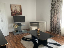 Apartament renovat pet friendly de 2 camere in Centrul Civic