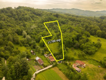 Teren 11700 mp în Valea Lungă, o oază de liniște, aer curat, verdeață
