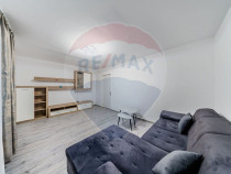 Apartament 2 camere renovat, complet mobilat, Micălaca ?...